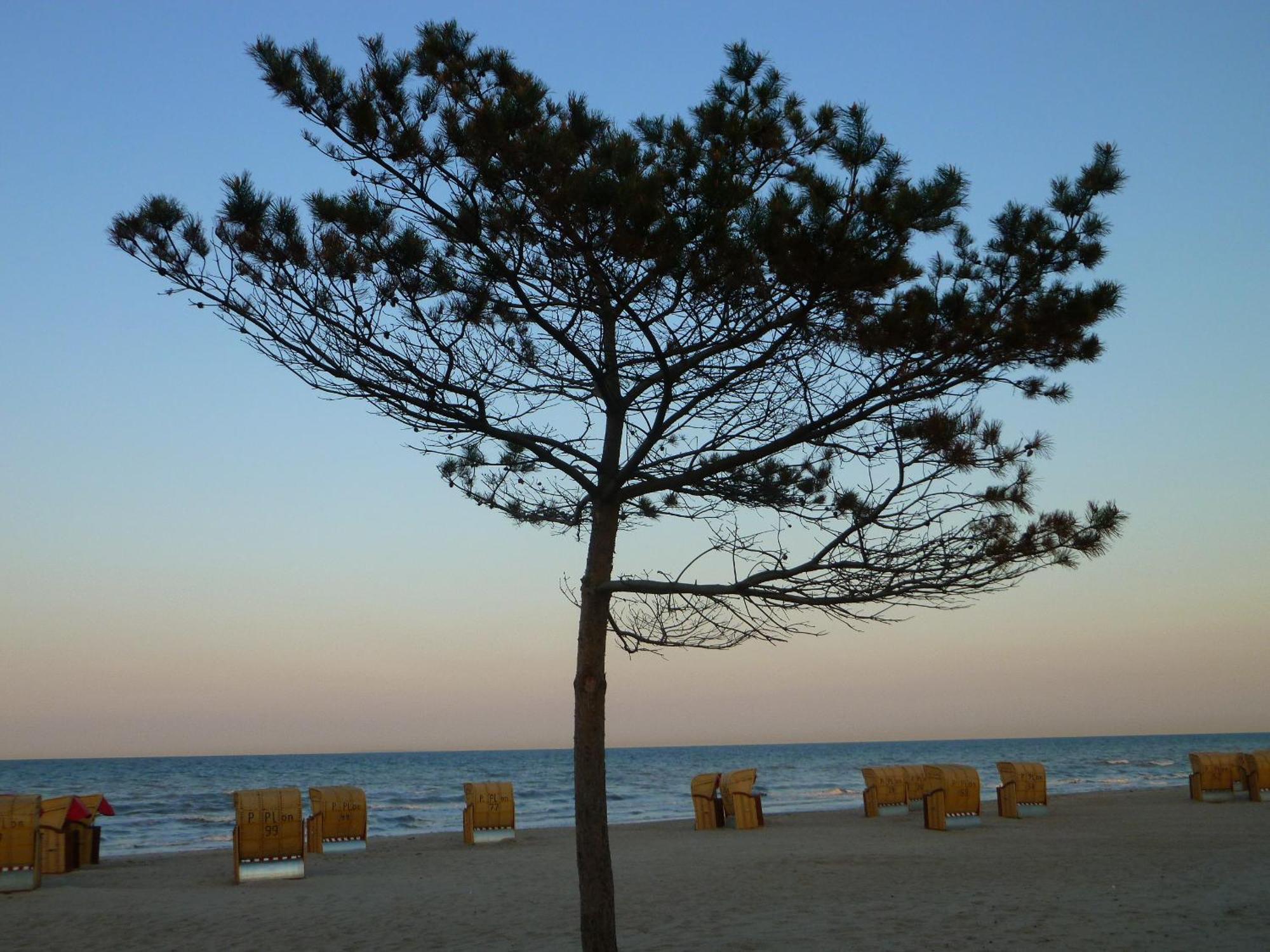 Haus Strandperle Dahme  Bagian luar foto